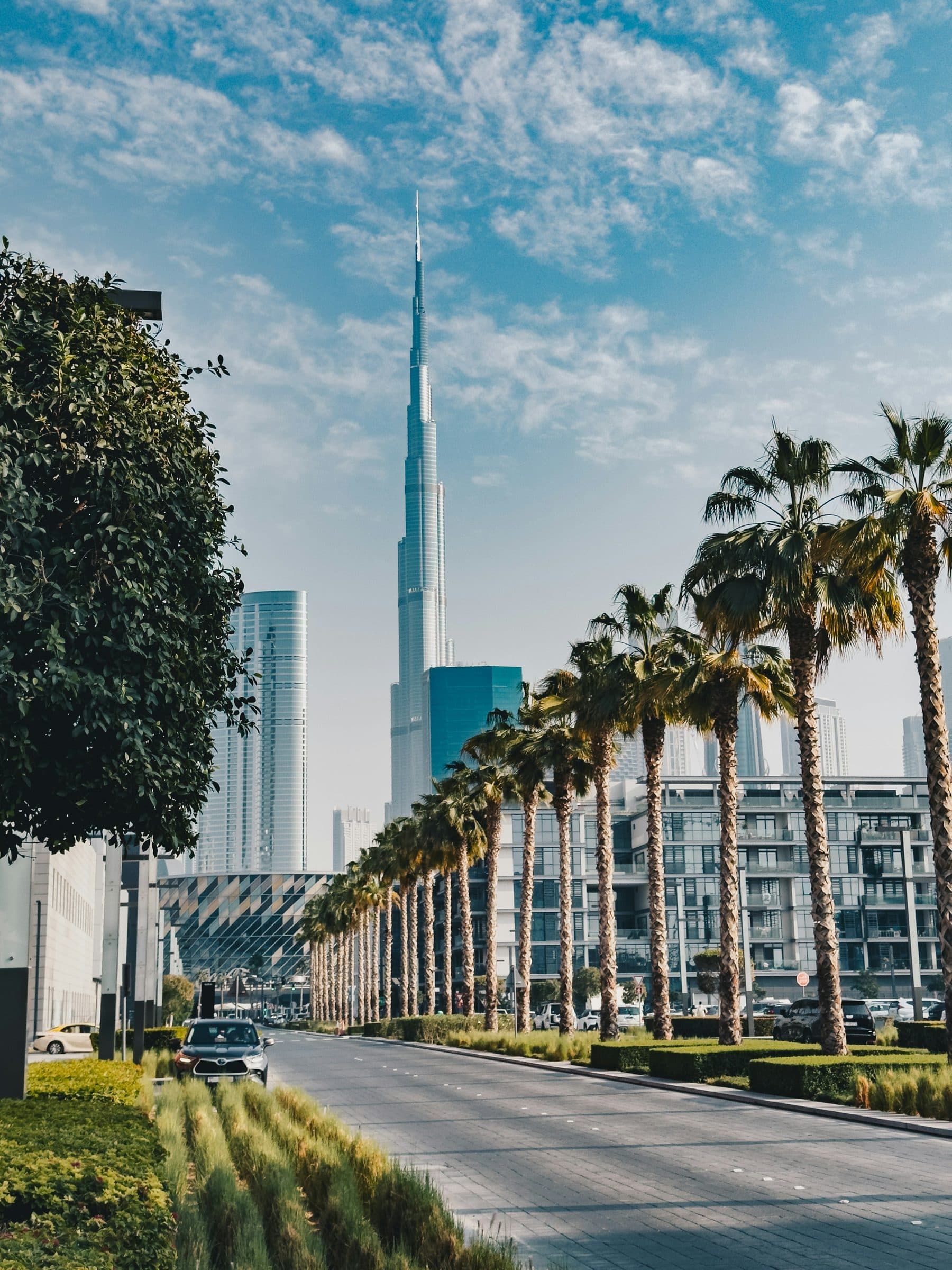 A palm-lined Dubai street with apartment buildings and a tower beyond