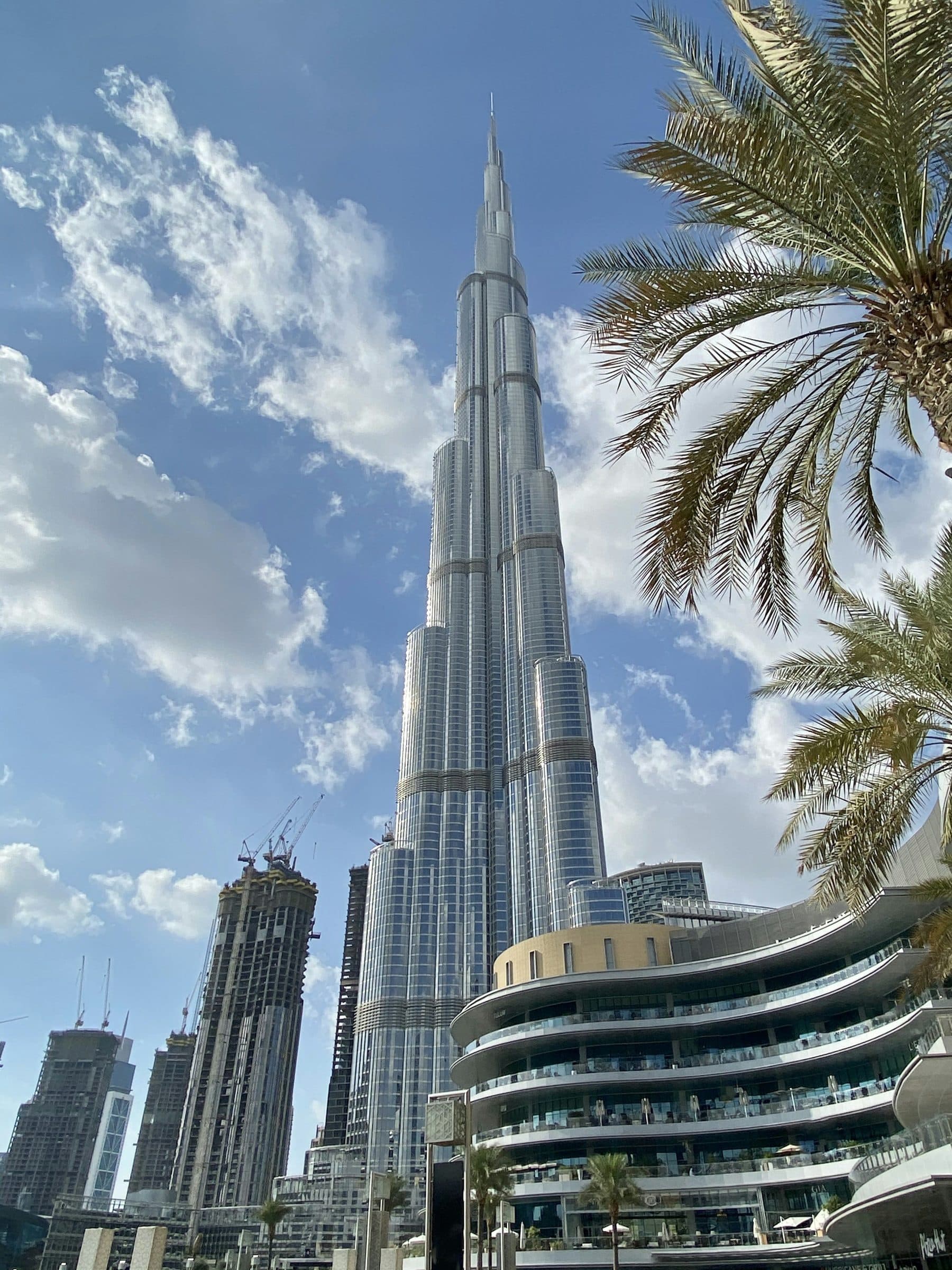 A residential tower rising past palm trees under a blue sky in Dubai